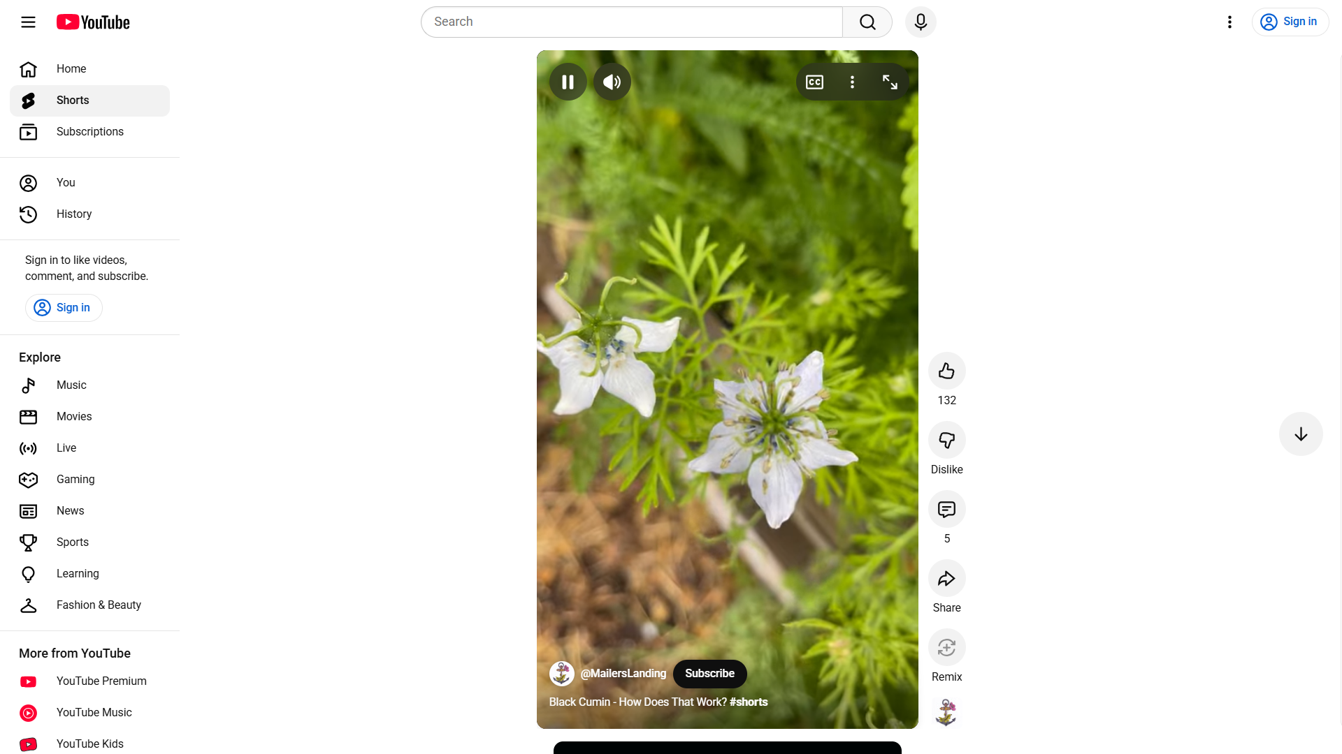 YouTube Shorts interface showing a vertically scrolling feed.